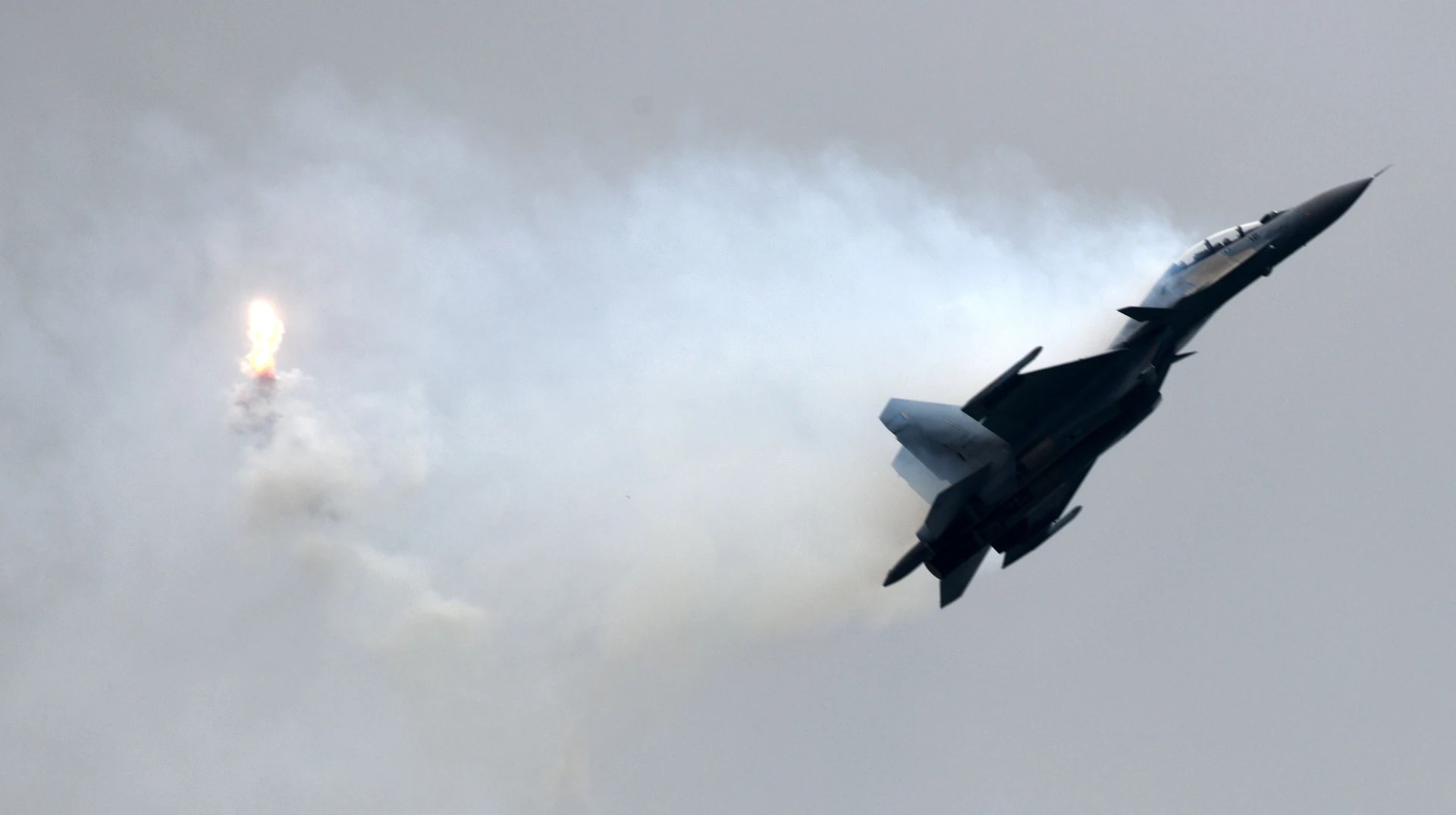 Сибіга оголосив підготовку Gripen до захисту українського неба після зустрічі з главою МЗС Швеції