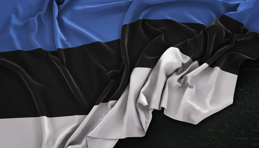 0,25% ВВП і 110,7 млн євро: що саме зафіксовано в естонському проєкті заяви